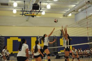 Girls volleyball face off against Wilcox High School