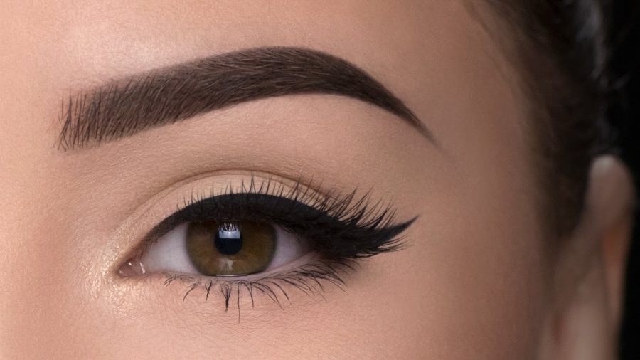 Eyebrows are a defining characteristic of the face. 
