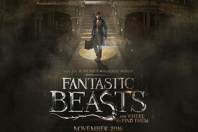 Fantastic Beasts and Where to Find Them is a prequel to the well-known Harry Potter series.
