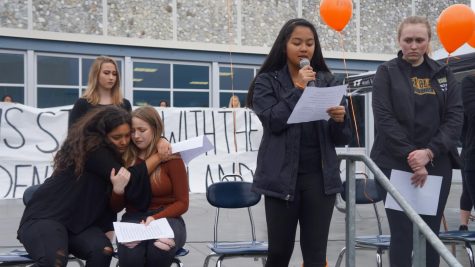 One reporter shares her opinion on the 3/14 walkout