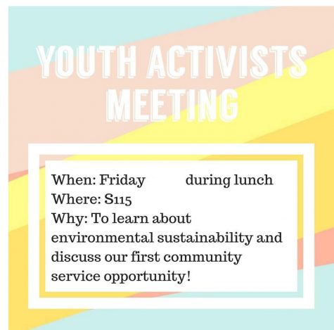 New Youth Activists Club is determined to create change at SCHS, and in the world