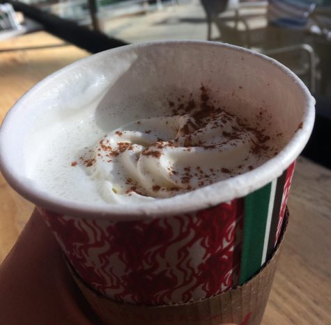Five things to cross off your holiday bucket list (according to an SCHS student)