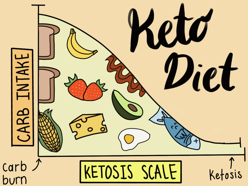 The Keto diet creates a fast fat-loss experience. 