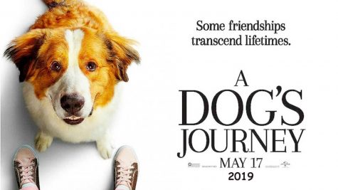 REVIEW: ‘A Dog’s Journey’ takes audiences on an beautiful and emotional story of man’s best friend