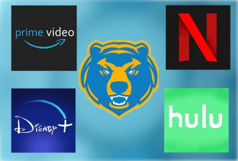 Students at SCHS use a myriad of different streaming services. 