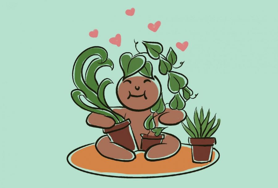 Many students feel that their plants boost their happiness. 