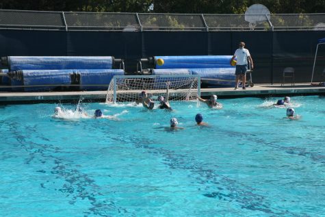 CAMPUS: An unconventional water polo season