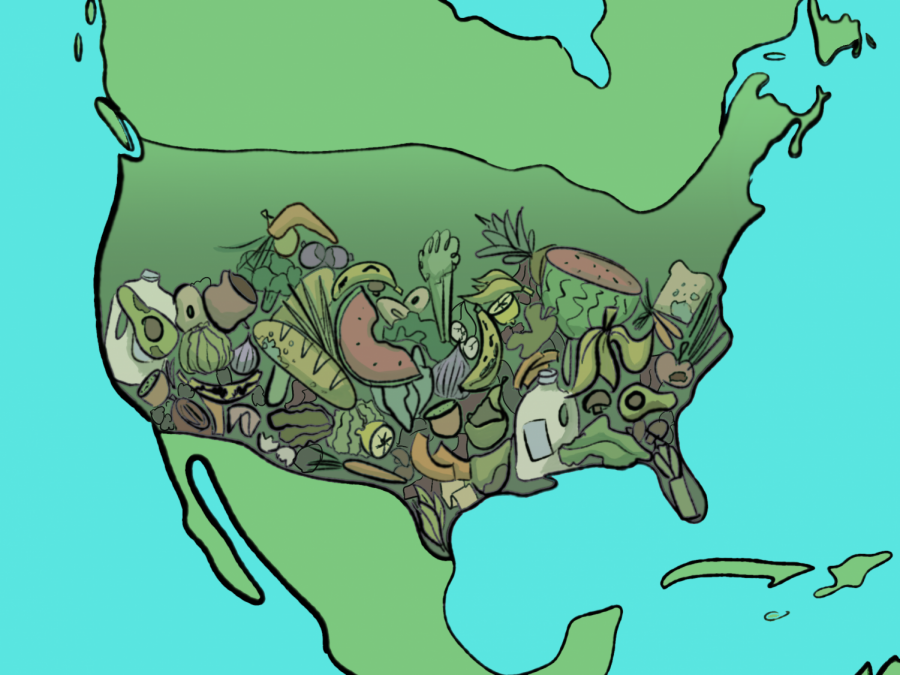 Compared to numerous other countries, America leads in food waste.