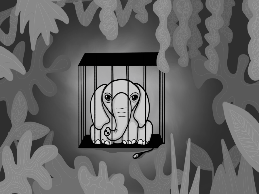 OPINION: You can’t cage minds, thoughts and feelings in zoos
