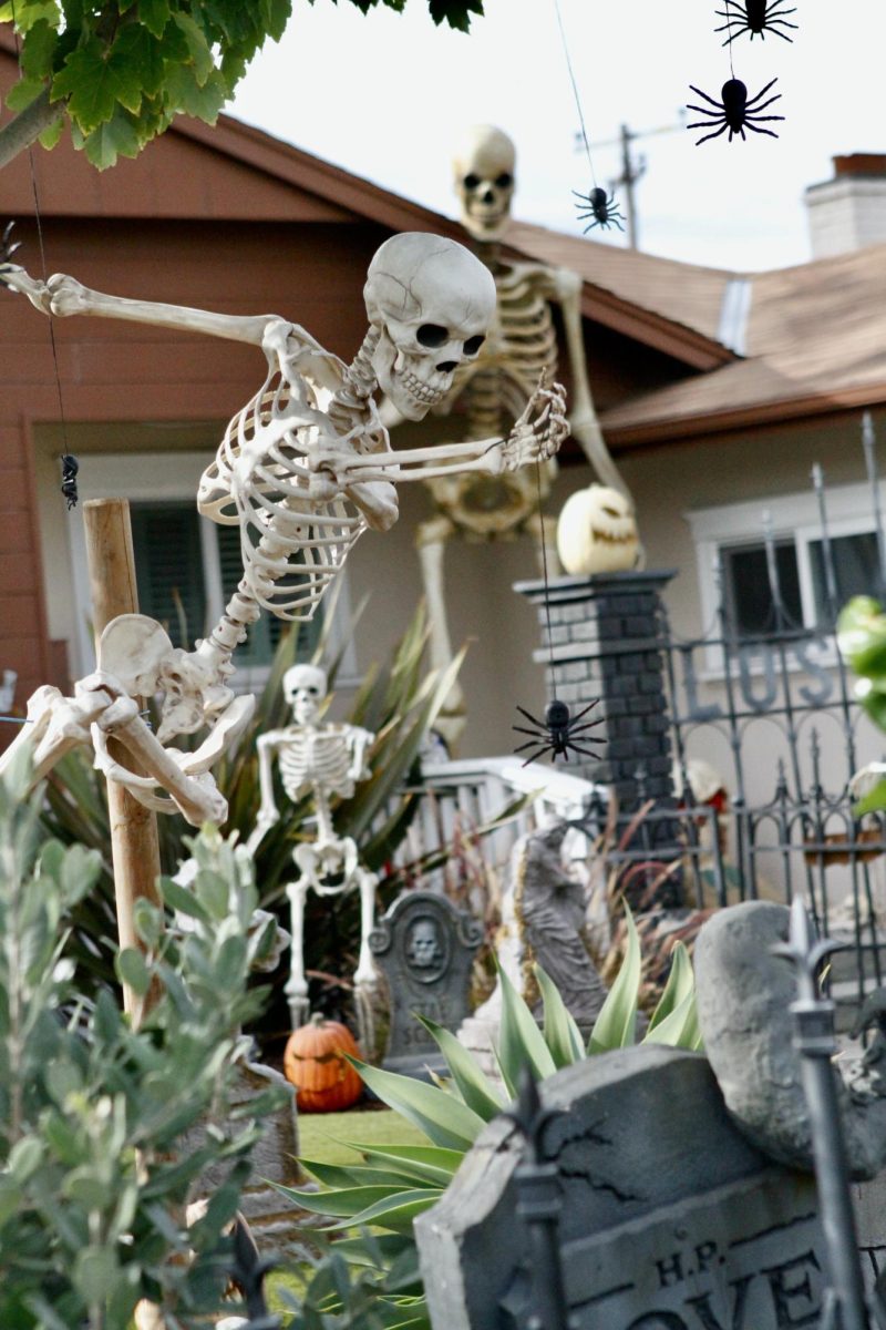 Many students enjoy exploring local haunted attractions in the weeks leading up to Halloween with friends and family.