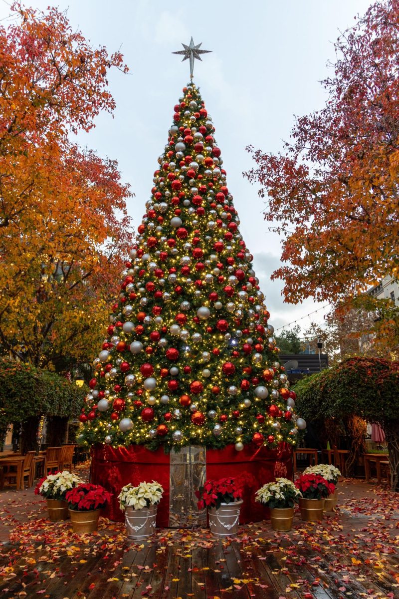 In winter, many choose to put up Christmas decorations and trees, much like this Christmas tree in Santana Row. 