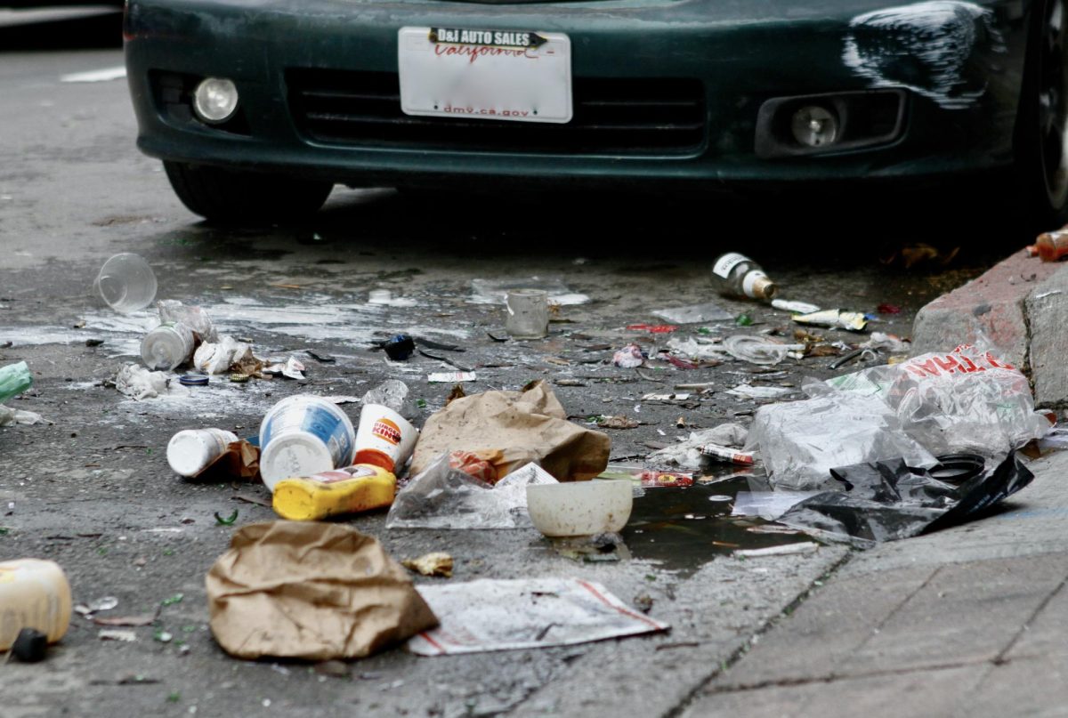 The streets of San Francisco are littered with muck as the city refuses to do anything about it.
