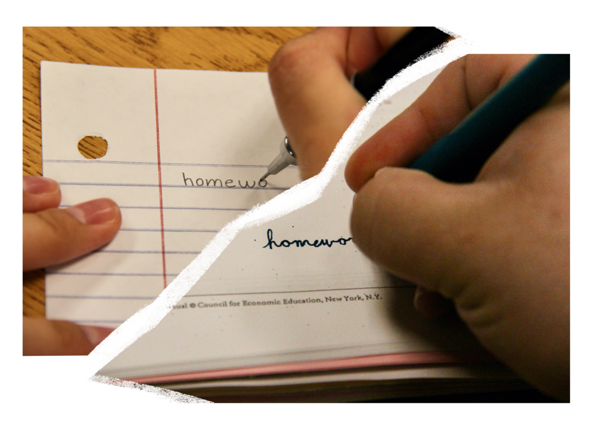 Teachers and students compare cursive and print handwriting.