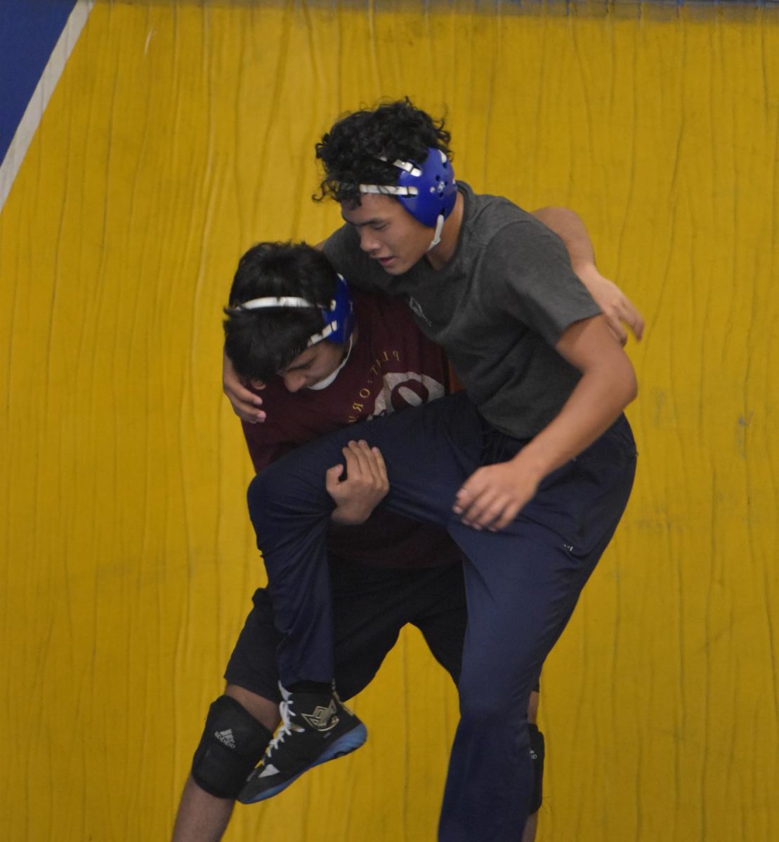 Senior Umar Mundzir and senior Daksh Patel train together to improve their skills and prepare for upcoming wrestling meets.