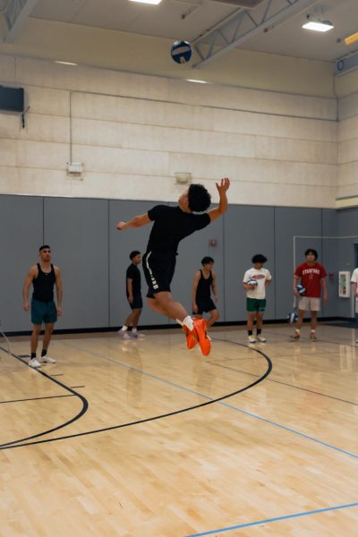 Senior volleyball player Matthew Chan finds open gym practices beneficial for his playing skills.