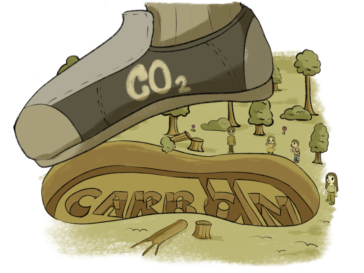 FOCUS: Growing carbon footprints inspire taking action