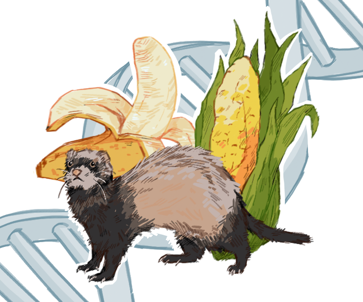 Genetic engineering using the CRISPR technology has the potential to benefit multiple fields.
